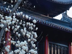 -灵谷景区