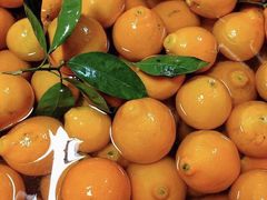 -上海龙吴水胜海发市场