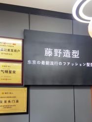 -藤野造型