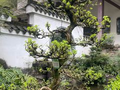 -南山植物园