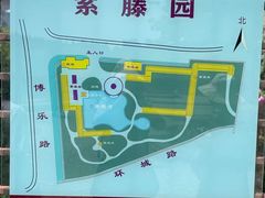 -嘉定紫藤园