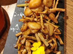 灵菇爆澳带-荟廷·晶萃(陆家嘴尚悦湾店)