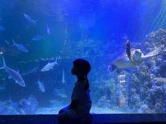 -嘉兴海底世界