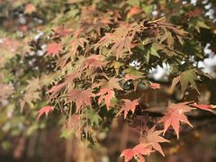 -杭州半山国家森林公园