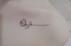 -刺客纹画纹身·洗纹身·穿孔饰品