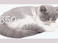 -127陈设艺术产业园-A座