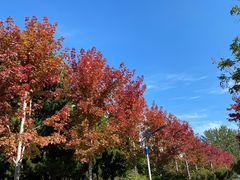 -烟台大学-第7餐厅