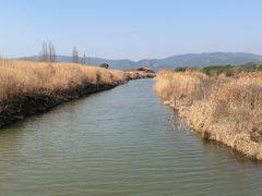 -良渚古城遗址公园