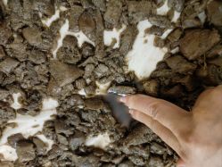 -姜美堂·蒸姜除湿の纤体美颜馆