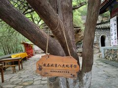 -八大处公园