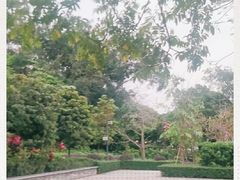 -大屏嶂森林公园