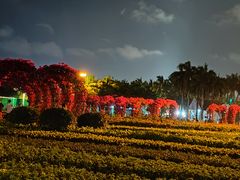 -万绿园