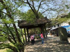 -楠溪江风景名胜区