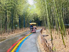 -兰陵国家农业公园