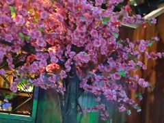 -田婆婆的菜(海口友谊阳光城店)