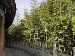 -终南山古楼观历史文化景区