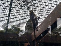 -昆明动物园