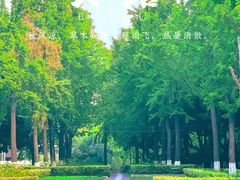 -苏州河梦清园环保主题公园