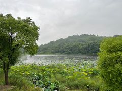 -福建鲤鱼洲酒店