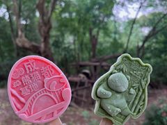 -成都大熊猫繁育研究基地