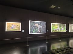 -罗红摄影艺术馆