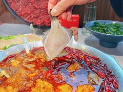-渝大龙重庆火锅(温泉月亮湾店)