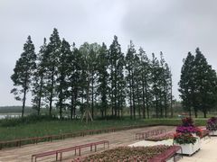 -东平国家森林公园