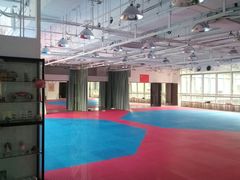 -陈中跆拳道(中关村馆)