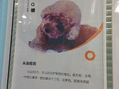 -全心全意连锁动物医院·微创中心·内科急重症·心脏专科(丰管路店)