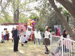 -祥源·阜阳生态乐园