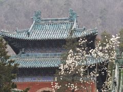 -武当山风景区