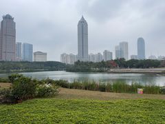 -万绿园