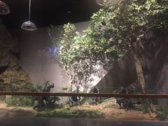 -北京周口店北京人遗址博物馆