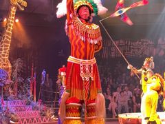 -奥兰多迪士尼动物王国乐园