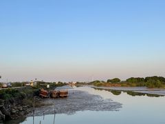 -海鸥岛河景湖大排档
