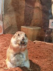 -Zoolung Zoolung动物主题公园(海信广场店)