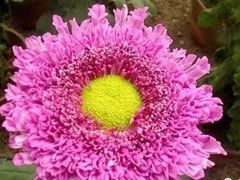 -天津市河西区金子小一一儿童军校幼儿园