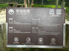 -都江堰中华大熊猫苑