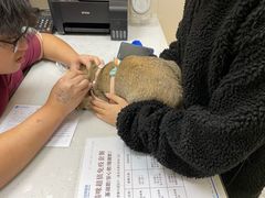 -芭比堂动物医院·24小时·眼科中心(深圳中心)