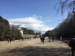 -名古屋城