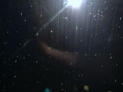 -无声臭豆腐(大井1号店)