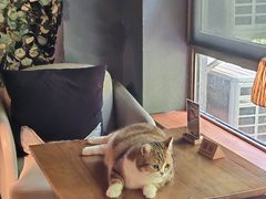 -咖法森林·咖啡  酒吧(天河店)