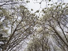 -睦南公园