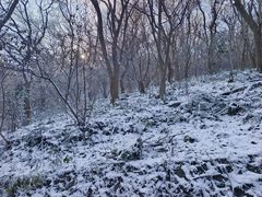 -紫金山山顶公园