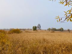 -野鸭湖国家湿地公园