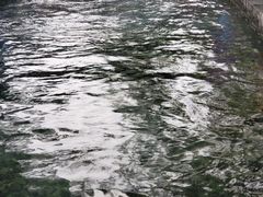 -百脉泉景区