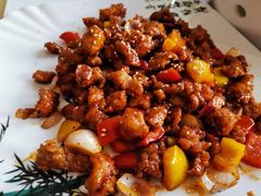 黑椒羊腿肉-清真•蜀风园(丁字沽总店)