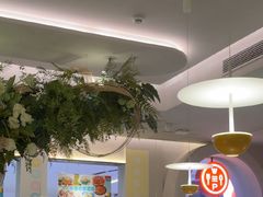 -Aqua Oasis 水天堂(太湖中心mall店)