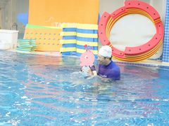 -戊辰亲子游泳俱乐部