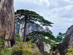 -黄山风景区